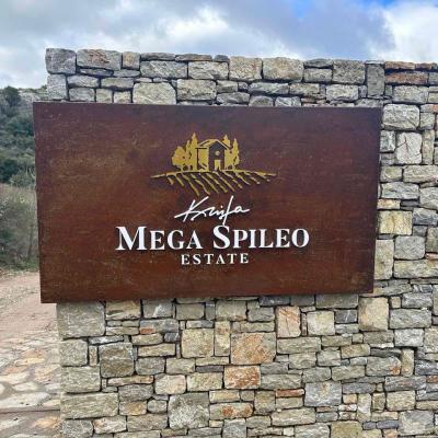ΕΠΙΓΡΑΦΗ ΜΕΓΑ ΣΠΗΛΑΙΟ #5